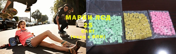 индика Богородицк