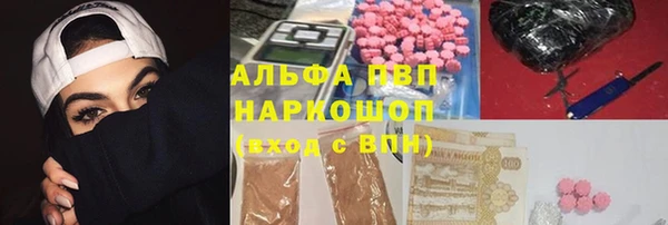 мдпв Богданович
