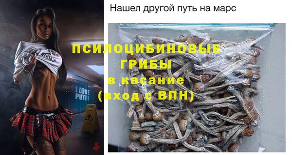 синтетический гашиш Богородск