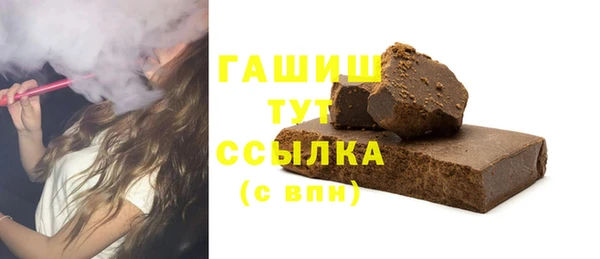 индика Богородицк