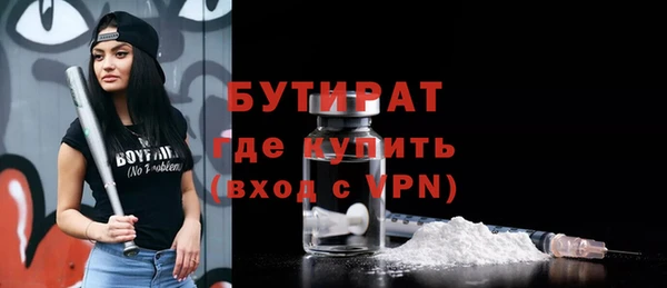 индика Богородицк