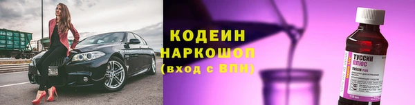 индика Богородицк