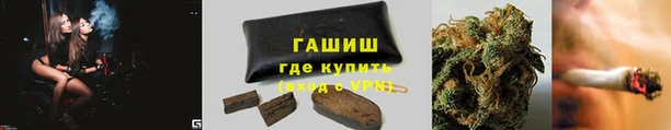 индика Богородицк