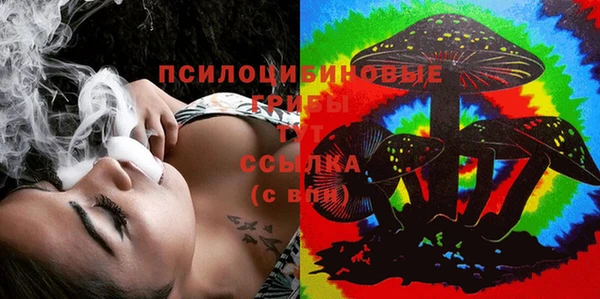 индика Богородицк