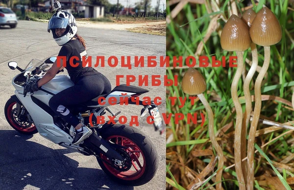 синтетический гашиш Богородск
