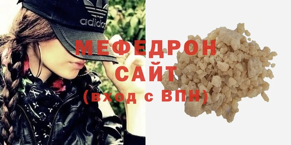 индика Богородицк