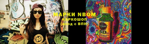индика Богородицк