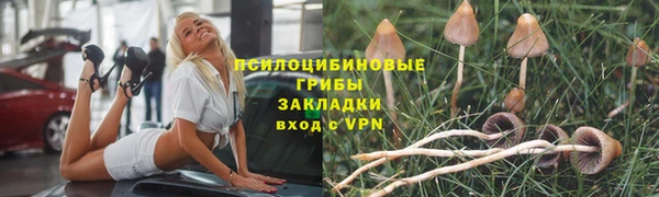 индика Богородицк