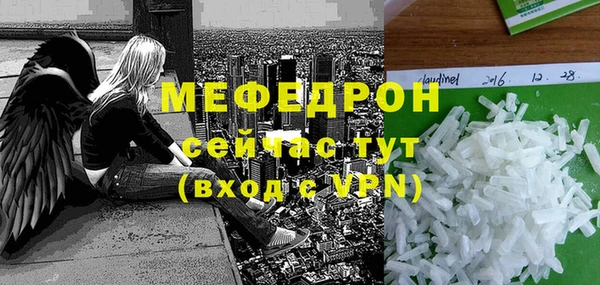 индика Богородицк