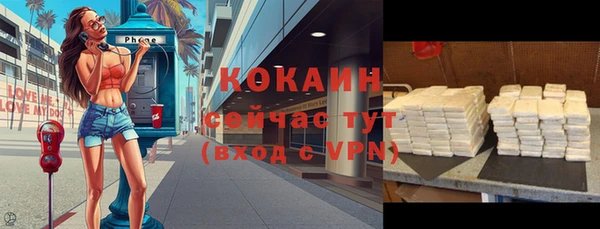 индика Богородицк